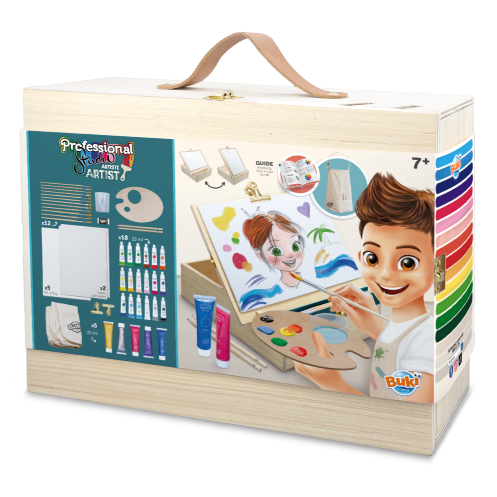 Professional Studio - Artist