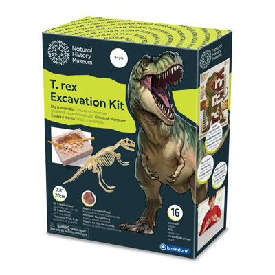 T. Rex Excavation Kit
