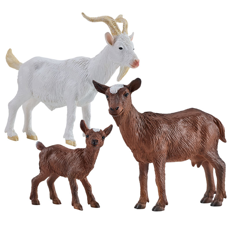 Goat Family