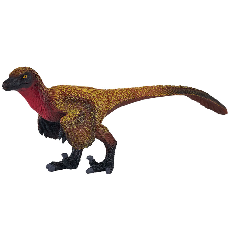 Velociraptor